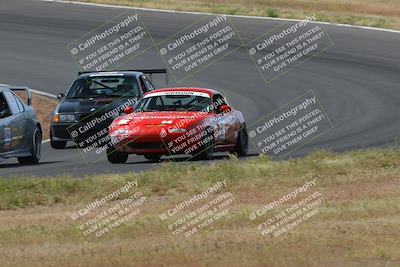 media/May-04-2024-Lucky Dog Racing (Sat) [[d39539b3f3]]/Race Pics/1015am (Turn 2)/